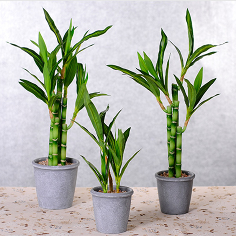 New 40cm rFtificial Lucky Bamb - Desk Setup Plant review and price